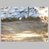 DSCN8091.JPG