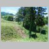 DSCN8531.JPG