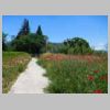 DSCN8536.JPG