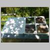 DSCN8548.JPG