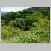 DSCN8552.JPG