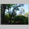 DSCN8559.JPG