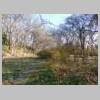 DSCN7973.JPG