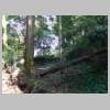 DSCN6290.JPG