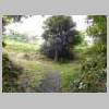 DSCN6312.JPG
