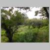 DSCN6338.JPG