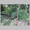 DSCN6339.JPG