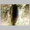 DSCN6364.JPG