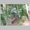 DSCN6375.JPG