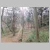 DSCN7901.JPG
