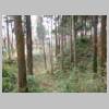 DSCN7919.JPG