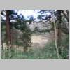 DSCN7938.JPG