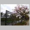 DSCN1701.JPG