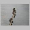 DSCN9683.JPG