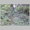 DSCN9690.JPG
