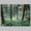 DSCN9693.JPG
