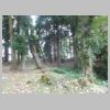 DSCN9697.JPG