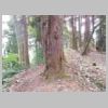 DSCN9698.JPG