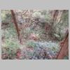 DSCN9701.JPG