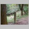 DSCN9705.JPG
