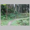 DSCN9706.JPG