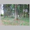 DSCN9708.JPG