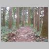 DSCN9714.JPG