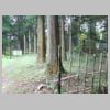 DSCN9716.JPG