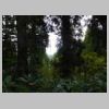 DSCN9718.JPG