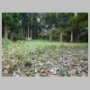 DSCN9719.JPG