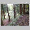 DSCN9720.JPG