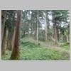 DSCN9722.JPG