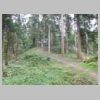 DSCN9723.JPG