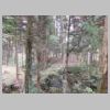 DSCN9727.JPG