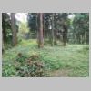 DSCN9728.JPG