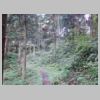 DSCN9729.JPG