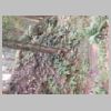 DSCN9733.JPG