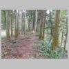 DSCN9735.JPG