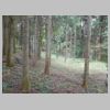 DSCN9738.JPG