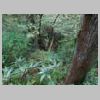 DSCN9739.JPG