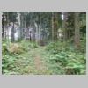 DSCN9742.JPG
