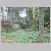 DSCN9743.JPG