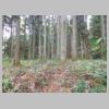 DSCN9745.JPG