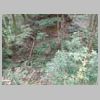 DSCN9746.JPG