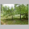 DSCN9751.JPG