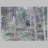 DSCN9756.JPG