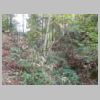 DSCN9758.JPG