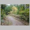 DSCN9760.JPG