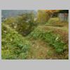 DSCN9801.JPG