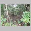 DSCN9810.JPG